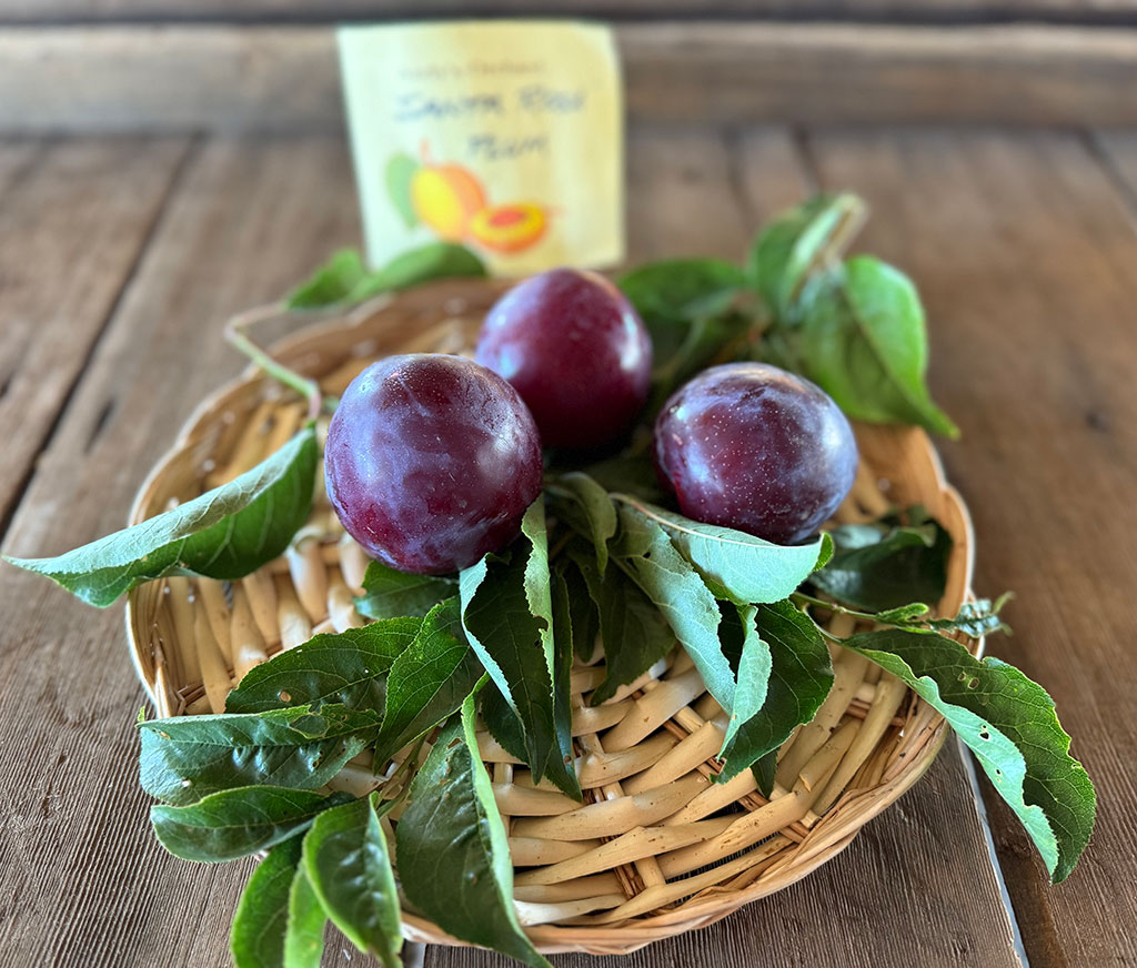 event-slider-gallery-andys_August-15