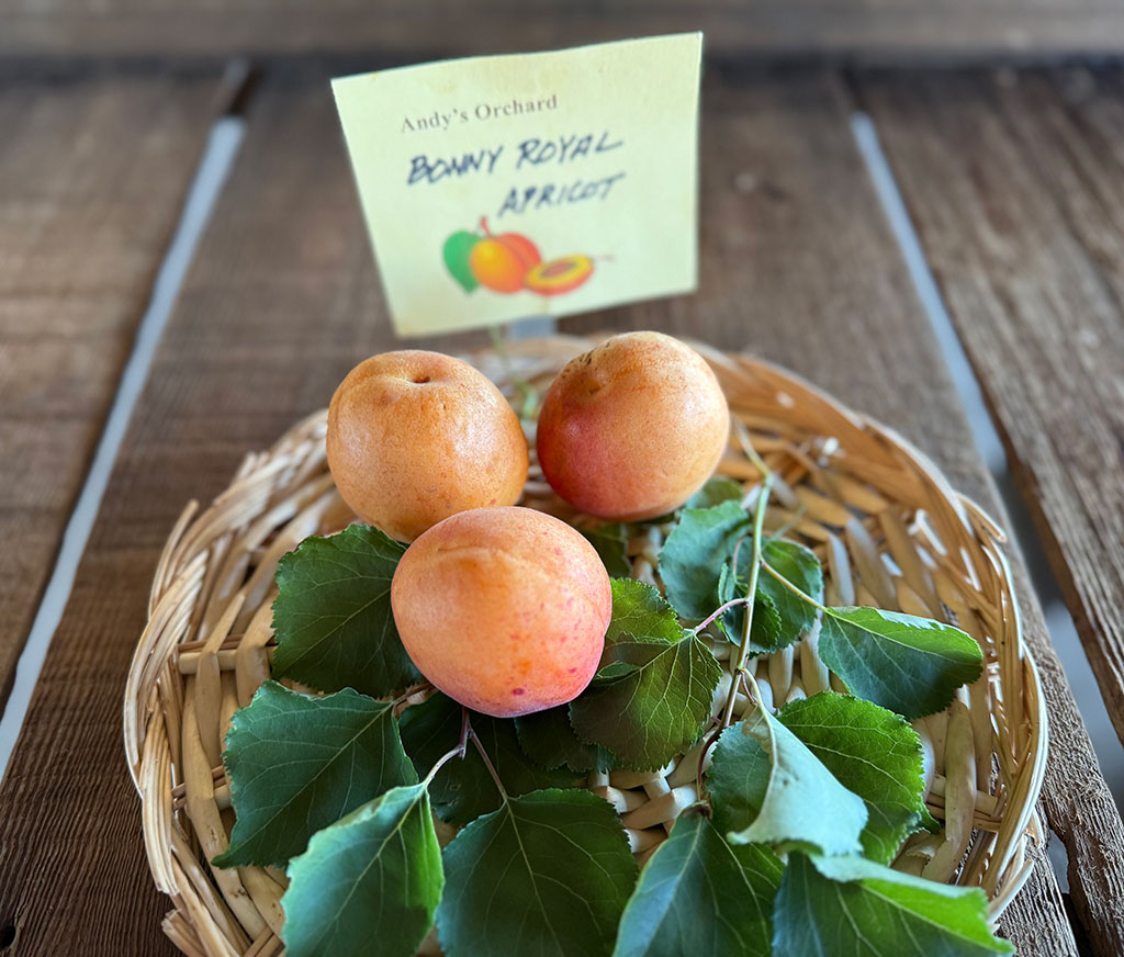 event-slider-gallery-andys_July-18