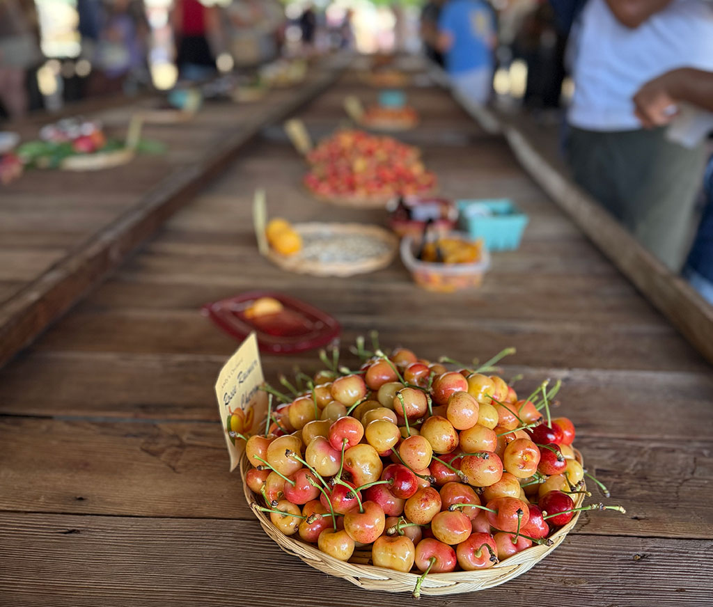 event-slider-gallery-andys_June-21